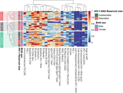 Clinical, Virological and Immunological Subphenotypes in a Cohort of Early Treated HIV-Infected Children